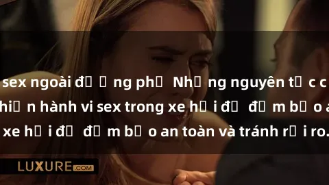 sex ngoài đường phố Những nguyên tắc cần nhớ khi thực hiện hành vi sex trong xe hơi để đảm bảo an toàn và tránh rủi ro.